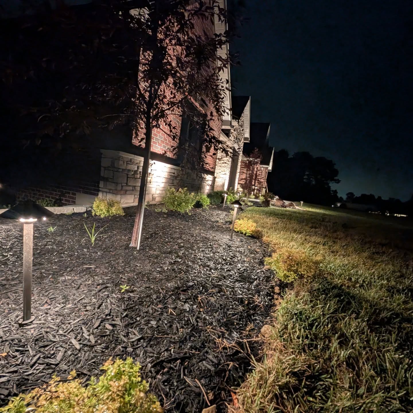 Pathway illuminated by stylish landscape lighting, highlighting mulch beds and greenery along a home's exterior at night.